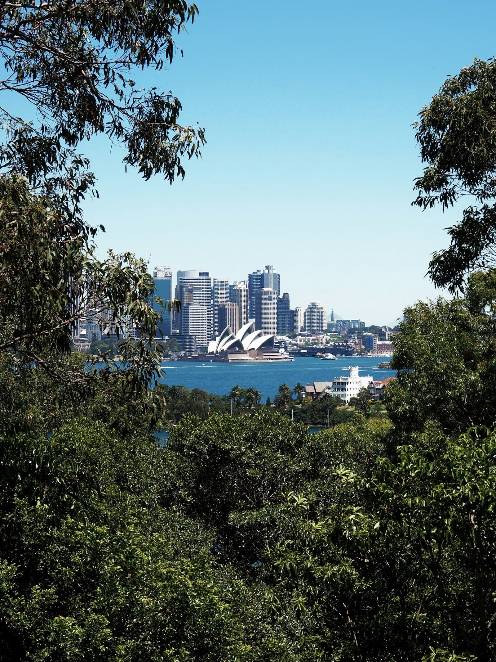 Sydney Harbour with the Opera House and university buildings visible along the waterfront